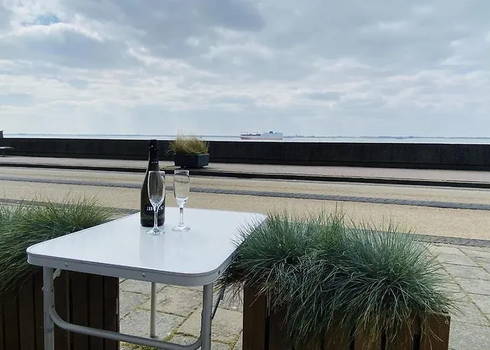 Vz733 Studio Vlissingen